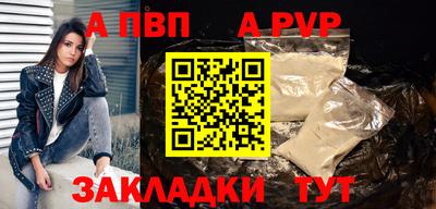 кокс Кингисепп