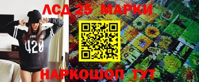 кокс Кингисепп
