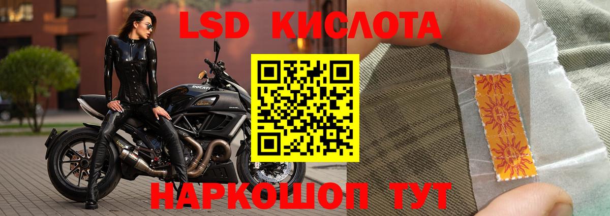 Конопля Чебоксары